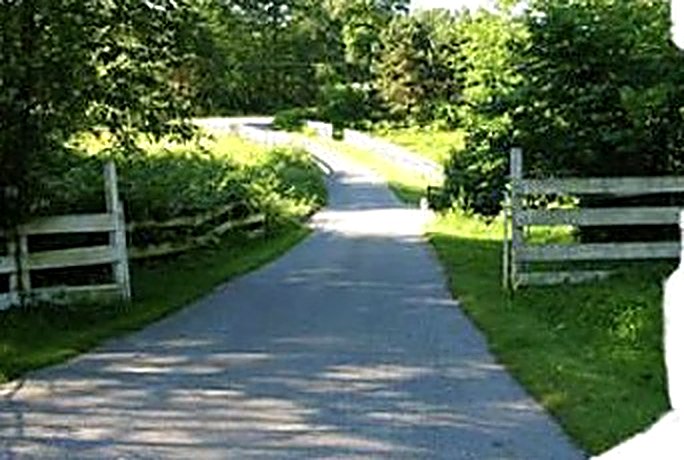 Tree-lined driveway entrance to Twin Creeks Ranch