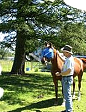 Handler and horse on the property
