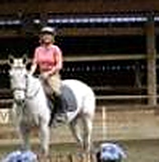 Dressage schooling
