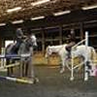 Jumping lesson in the arena