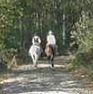 Trail riding through the forest
